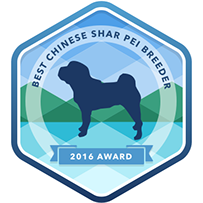 2016 Award Best Chinese Shar Pei Breeder