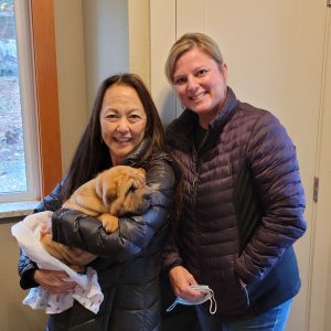 Margem Hills Champion Chinese Shar-Pei Puppies and adults